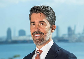 Fernando J. Menendez, Jr.