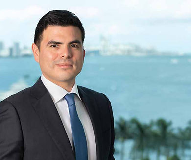 Juan J. Mendoza, Partner at LL Law Firm