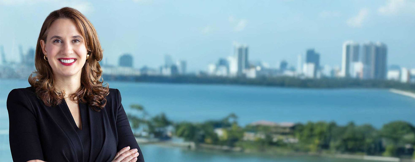 Tara J. Plochocki, Partner at LL Law Firm