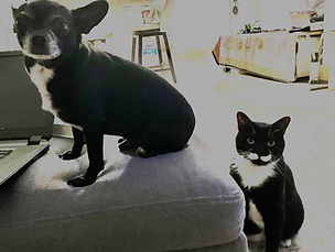 Gizmo and Hector Coyle